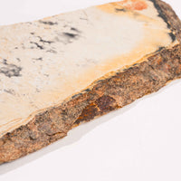 Slaty Shale Record - Earth Love Gallery Collection