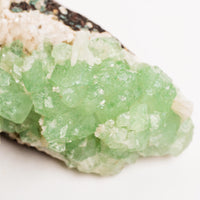 Apophyllite, Green - Cluster