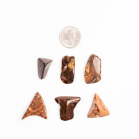 Biggs Jasper, Intuitive Picks - Earth Love Gallery Collection