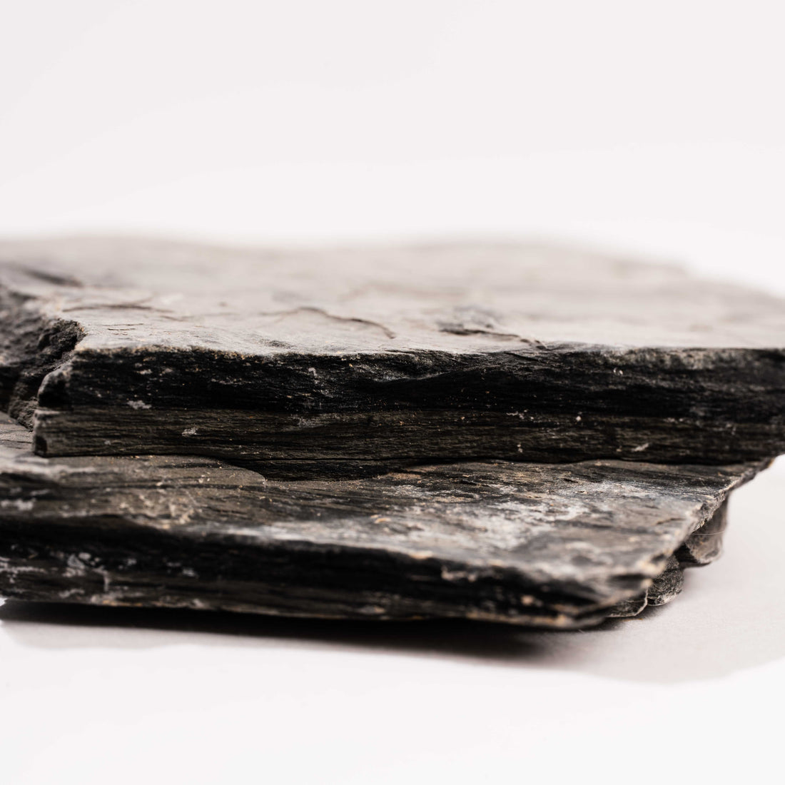 Slaty Shale Record - Earth Love Gallery Collection