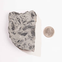 Slaty Shale Record - Earth Love Gallery Collection
