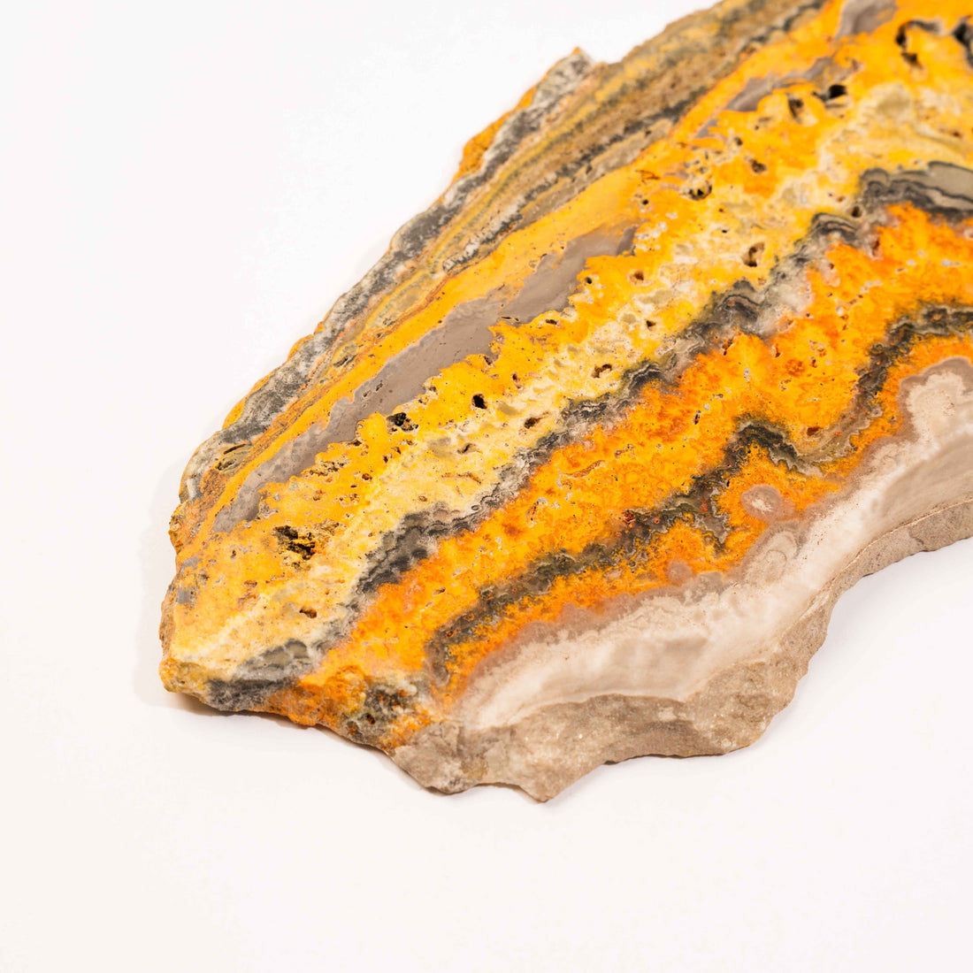 Bumble Bee Jasper - Slab, Large