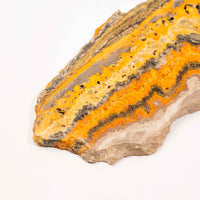 Bumble Bee Jasper - Slab, Large