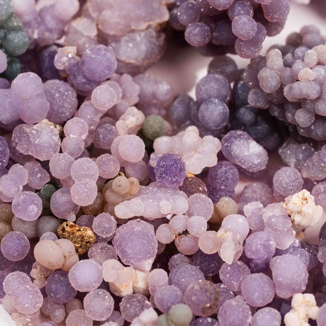 Agate, Grape - Bag(s)
