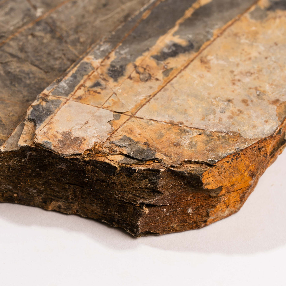 Slaty Shale Record - Earth Love Gallery Collection