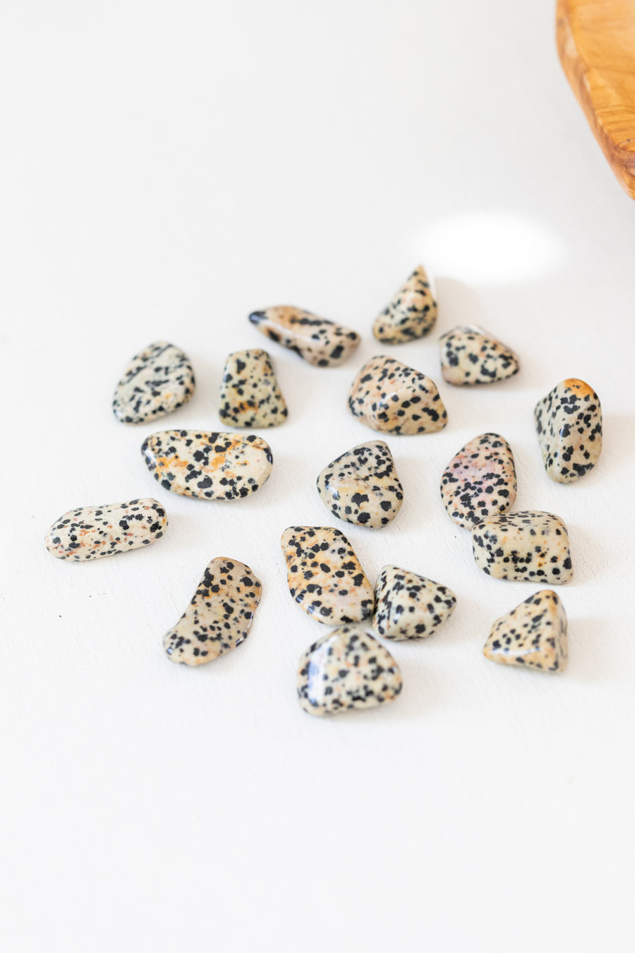 Dalmatian Stone - Tumbled