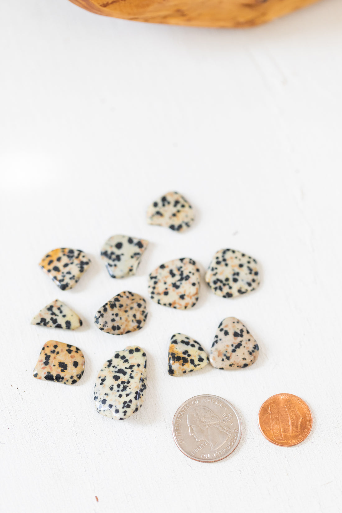 Dalmatian Stone - Tumbled