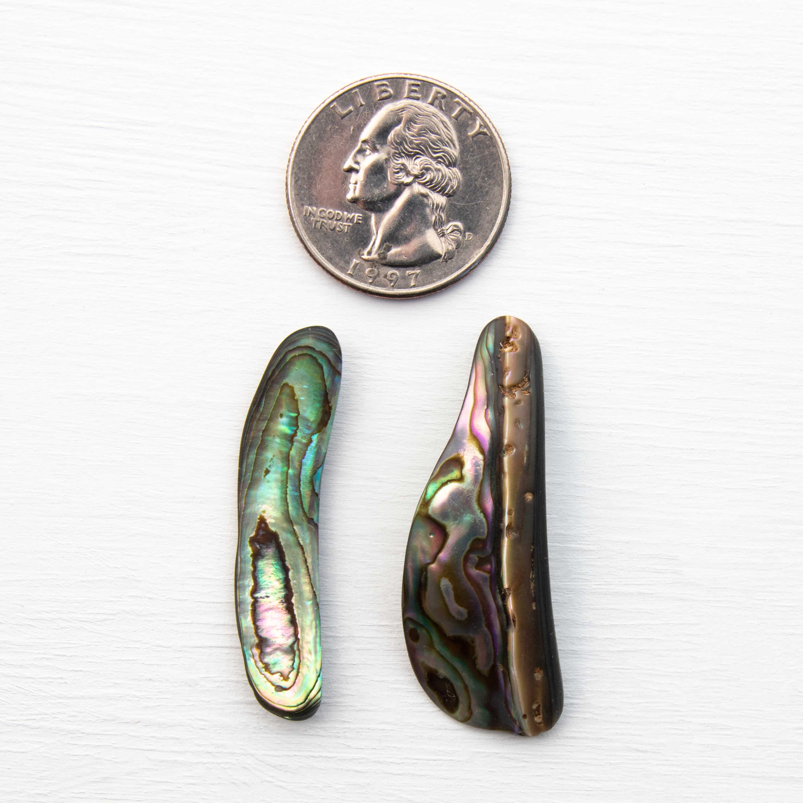Abalone - Paua Rim – Pink Heart Healing