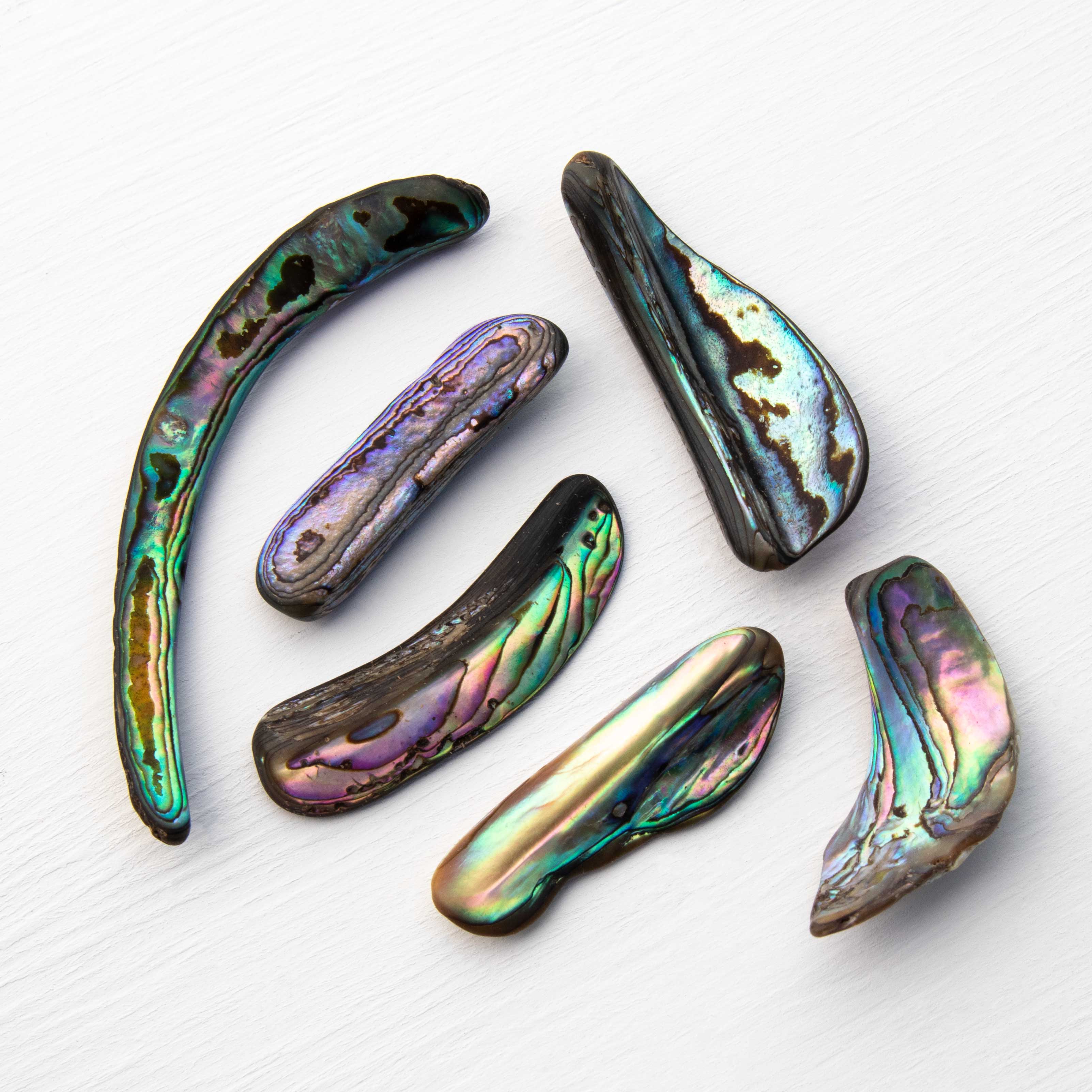 Abalone - Paua Rim – Pink Heart Healing