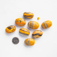 Jasper - Bumble Bee, Polished, Flat Stone, Small