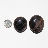Moonstone - Black, Palm Stones