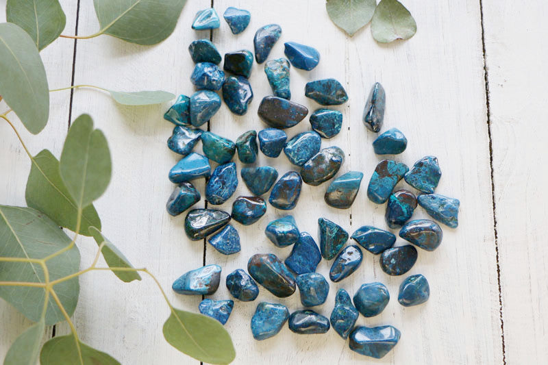 Chrysocolla - Shattuckite, Tumbled Stone(s)