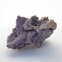 Grape Agate - Very Large, Natural