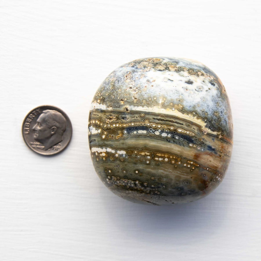 Jasper- Ocean, Mixed Medium Color, Orbicular- Palm Stone,