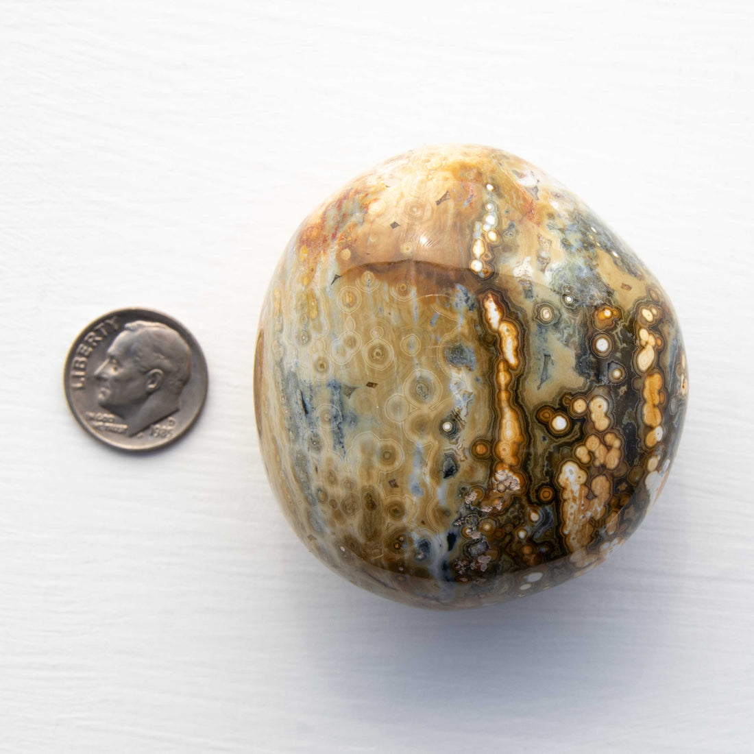 Jasper- Ocean, Mixed Medium Color, Orbicular- Palm Stone,