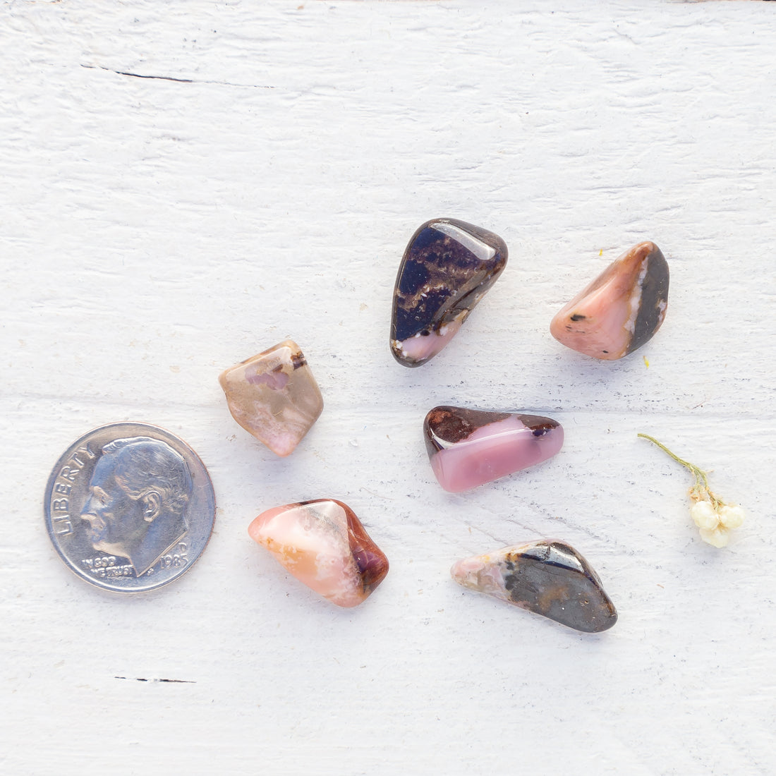 Bustamite - Tumbled Stone(s)