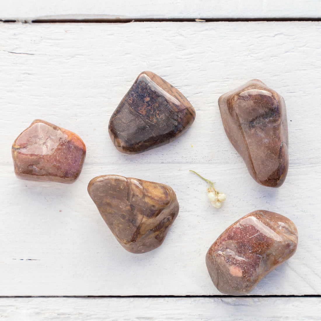 Bustamite - Tumbled Stone(s)