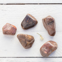 Bustamite - Tumbled Stone(s)