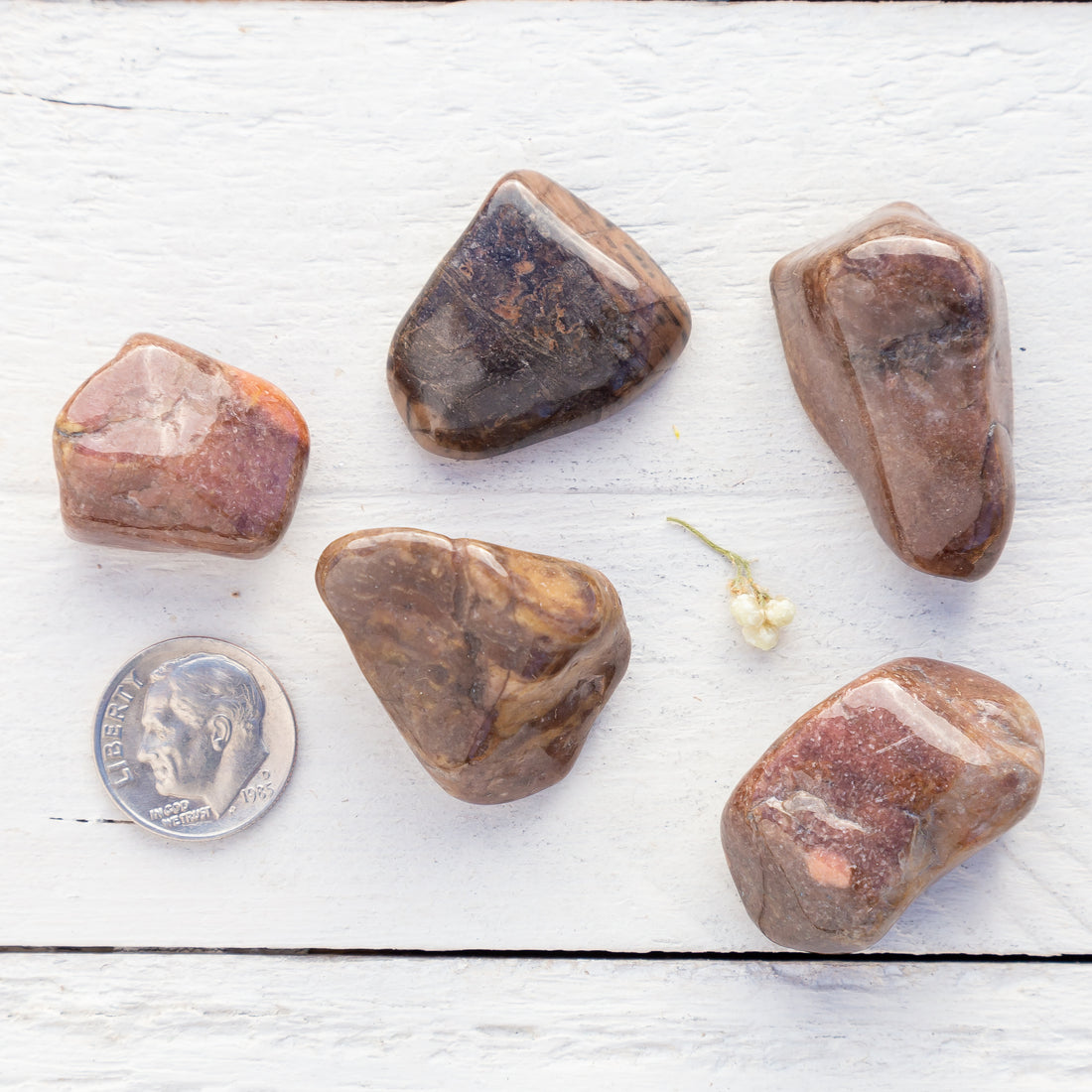 Bustamite - Tumbled Stone(s)