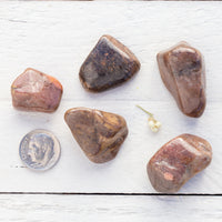 Bustamite - Tumbled Stone(s)