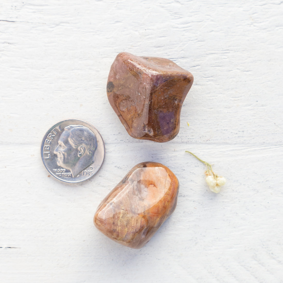 Bustamite - Tumbled Stone(s)