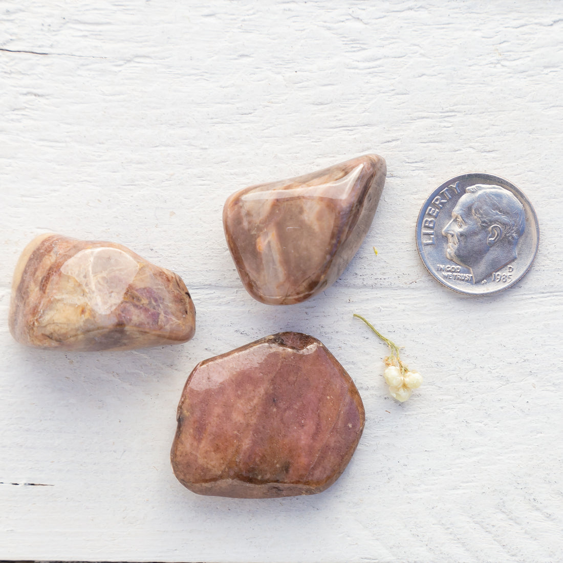 Bustamite - Tumbled Stone(s)