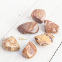 Bustamite - Tumbled Stone(s)