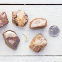 Bustamite - Tumbled Stone(s)