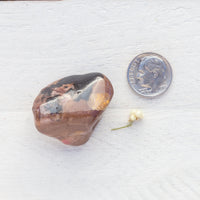 Bustamite - Tumbled Stone(s)