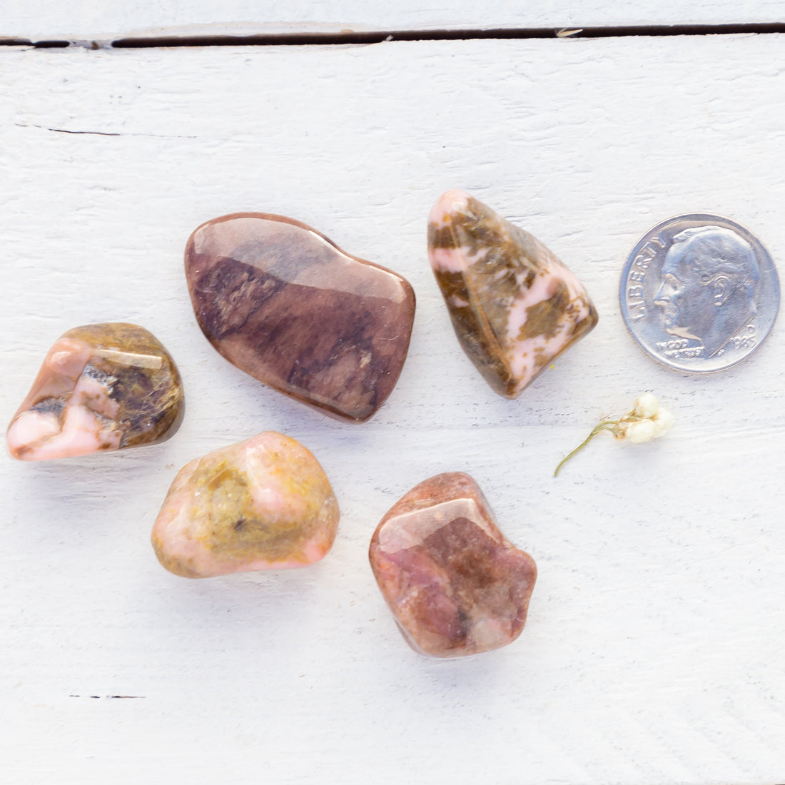 Bustamite - Tumbled Stone(s)