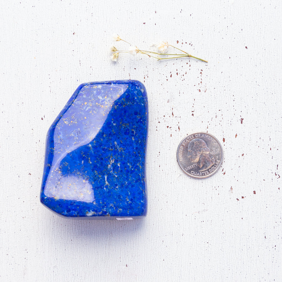 Lapis Lazuli - Polished Free Form, AA Grade